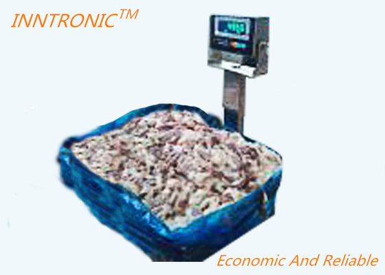 WF-BS 600KG 304 SS Industry brushed finishing Waterproof IP68 Platform Weighing Scale for sea food AC 220V 50Hz