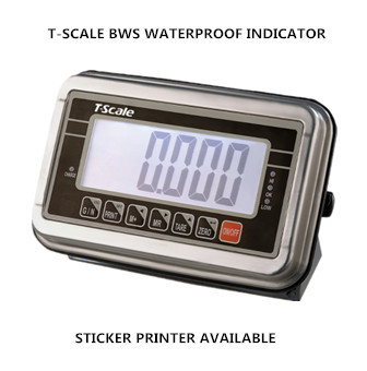 Platform scale BWS-3040 60kg/5g 304 Stainless Steel Industry Weighing bench scale IP67 AC 220V with waterproof indicator display